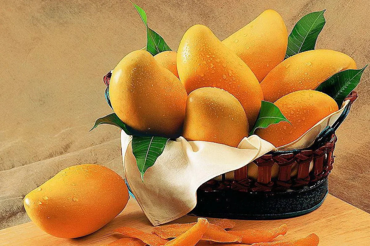 Premium Devgad Alphonso Mangoes